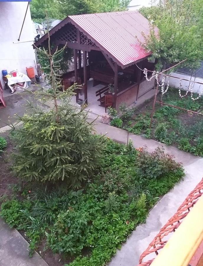 Pensiune La Rodica Hotel Costineşti Exterior foto
