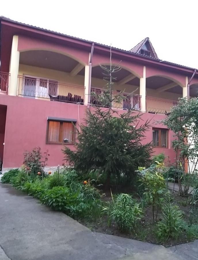 Pensiune La Rodica Hotel Costineşti Exterior foto